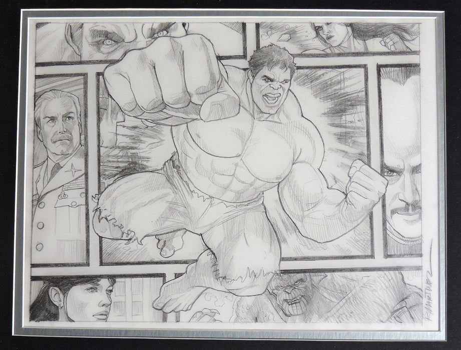 Hulk Beyond The Borders Framed Original Art by Randy Martinez