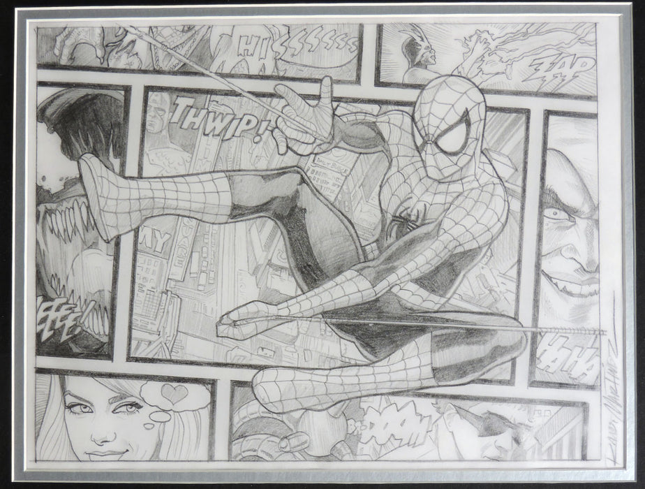 Spider-Man Beyond The Borders Framed Original Art by Randy Martinez